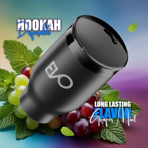EVO Rechargeable Hookah Pod Set (Flavors: Grape Mint) - Tobacco & Nicotine Free
