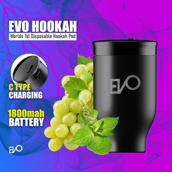 EVO Rechargeable Hookah Pod Set (Flavors: Grape Mint) - Tobacco & Nicotine Free