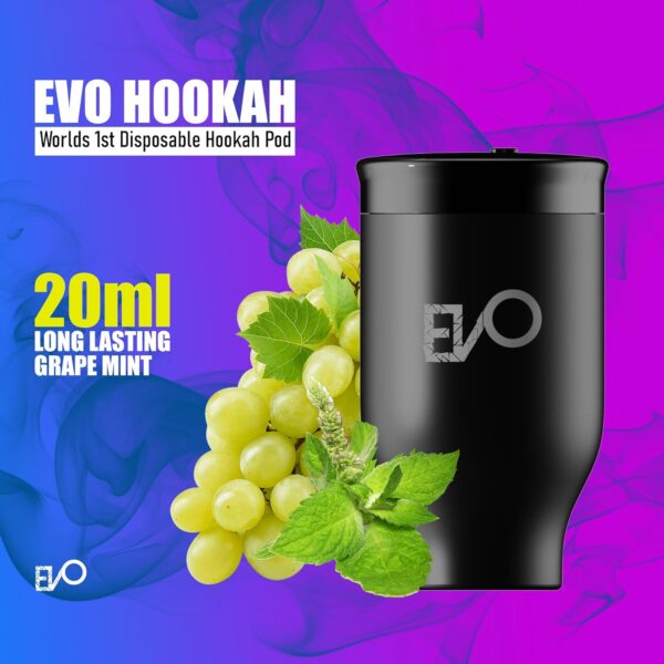 EVO Rechargeable Hookah Pod Set (Flavors: Grape Mint) - Image 3